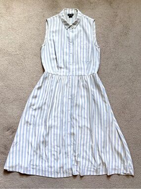Steven Alan 100% Silk Sleeveless Shirt Dress
